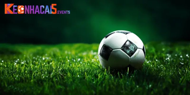 Giới thiệu nguồn gốc giúp người dùng tin tưởng tuyệt đối